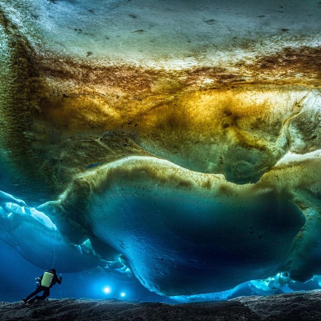 Laurent Ballesta Ocean's mysteries