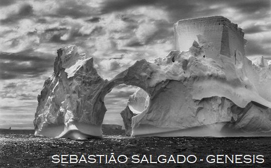 Sebastiao Salgado
